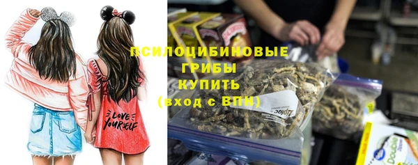дживик Алексеевка