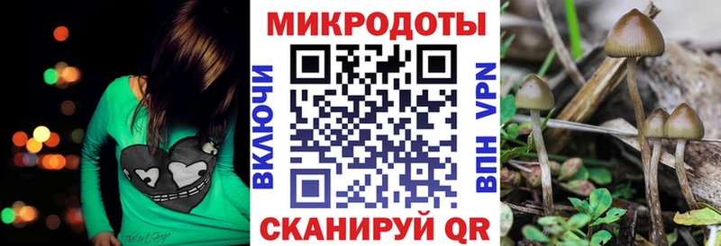 Псилоцибиновые грибы Psilocybine cubensis  где можно купить   нарко площадка состав  Апатиты 